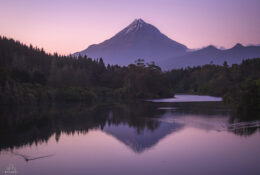 New Zealand 2025 (2 group) (16/84)